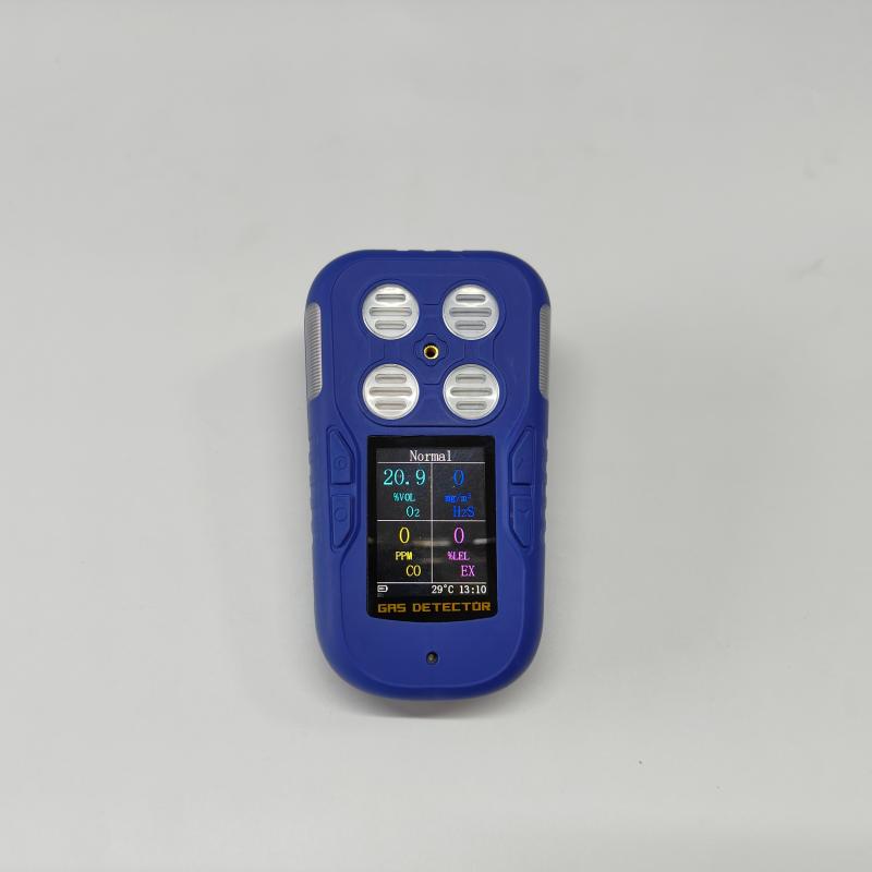 Portable Gas Detector
