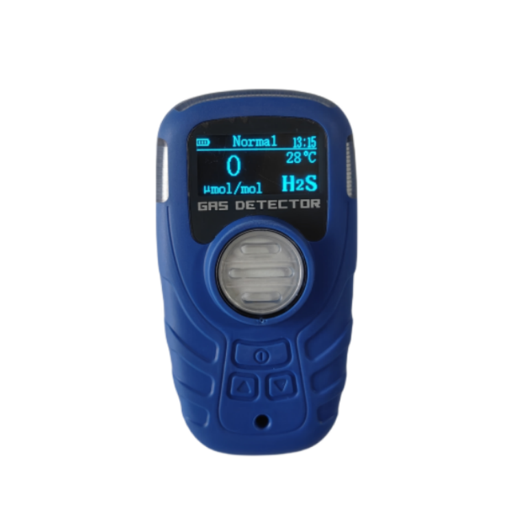 MST101 Single Gas Detector