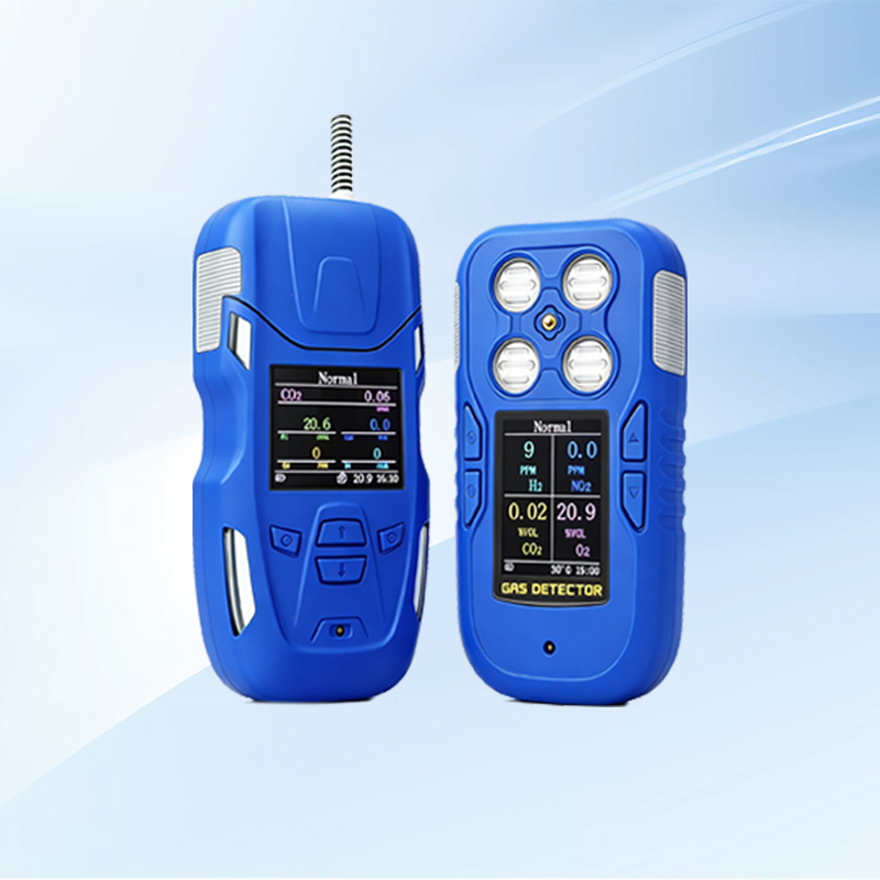 Portable Gas Detector