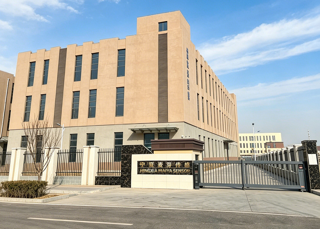 Ningxia MaiYa Sensor Technology Development Co., Ltd